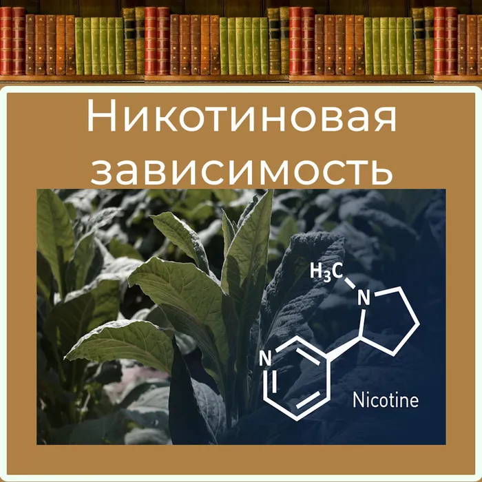 Карточка_1
